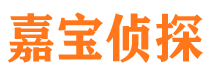 山东市侦探公司